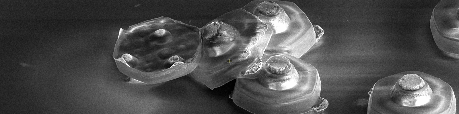 TAG Security technology visualization